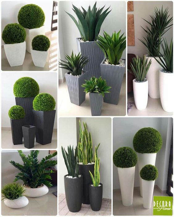 Cc Bộ Chậu Hoa Đa Dạng Từ Cảnh Quan Nh Đẹp - Tạo Điểm Nhấn Tinh Tế Cho Khng Gian
Chậu hoa khng chỉ l nơi để trồng cy, m cn l một phần của nghệ thuật trang tr, mang lại vẻ đẹp hi ha v ấn tượng cho mọi khng gian. Với cc bộ chậu hoa đa dạng về kiểu dng, kch thước v chất liệu từ Cảnh Quan Nh Đẹp, bạn c thể dễ dng lựa chọn những sản phẩm ph hợp để tn ln vẻ đẹp cho ngi nh, văn phng hay sn vườn của mnh.
