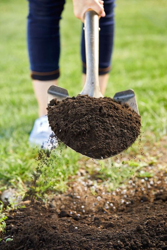 Đất trồng cy l yếu tố quyết định trực tiếp đến sức khỏe v sự pht triển của cy trồng. Một loại đất ph hợp khng chỉ gip cy giữ độ ẩm m cn cung cấp cc dưỡng chất thiết yếu cho qu trnh sinh trưởng. Ngoi ra, đất trồng chất lượng cao cn cải thiện khả năng thot nước v tạo mi trường thng thong cho bộ rễ pht triển mạnh mẽ.